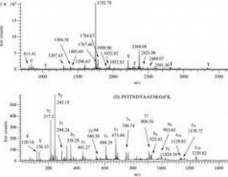 Espectrometría de Masas