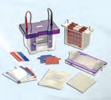 omniPAGE Mini Complete Electroblotting System