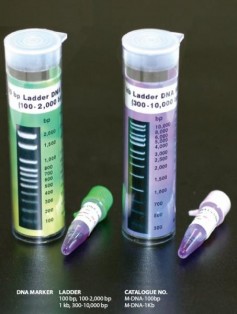 DNA Markers