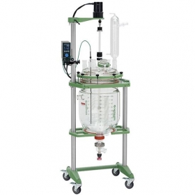 Glass Reactor